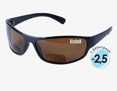Поляриз. очки Alaskan AG20-01 Anvik brown 