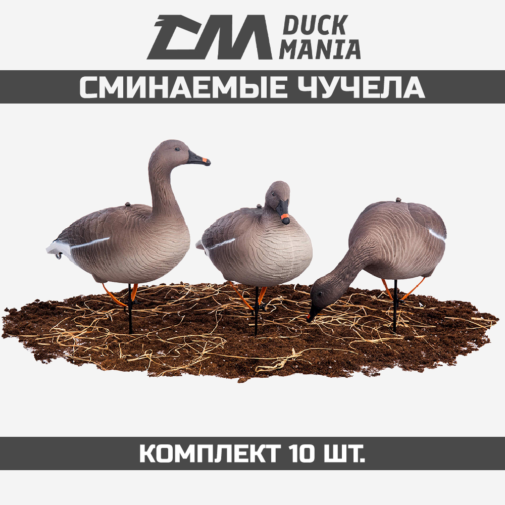 Изображение товара