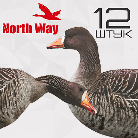 North Way®, Профиля белолобого гуся (12шт.)