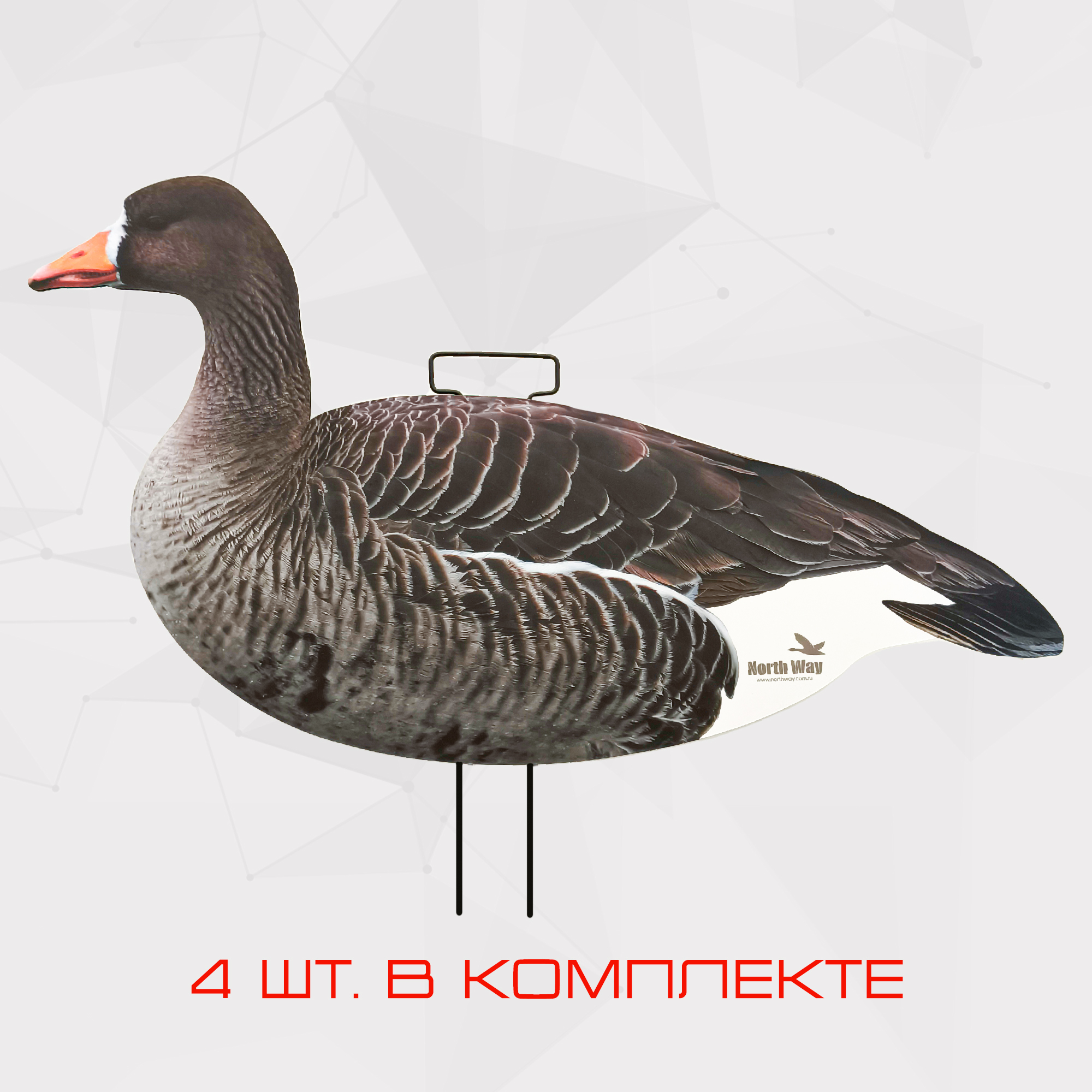 Изображение товара