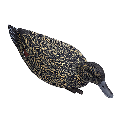 Softplast®, Шилохвость утка кормящаяся