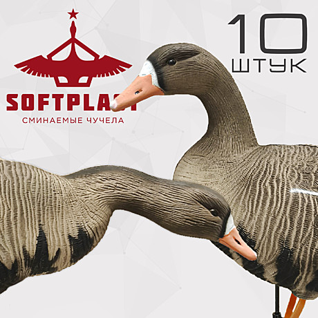 Softplast®, Комплект Белолобый гусь, B10S (10шт.)