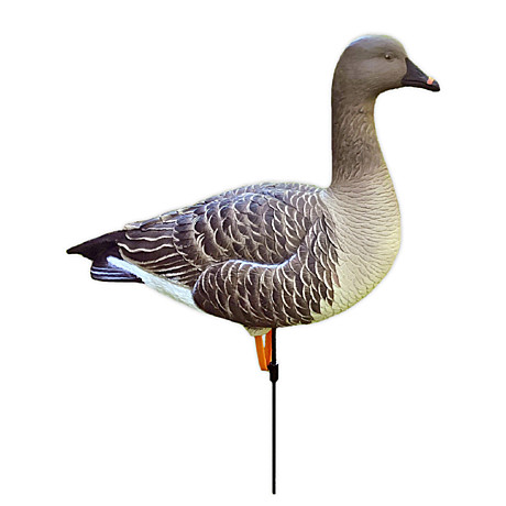 DuckMania®, гусь гуменник, DM-100502 (6 шт.)