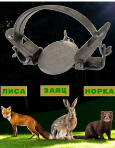 Изображение товара